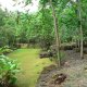 49- Le site archeologique de Kamuihei 